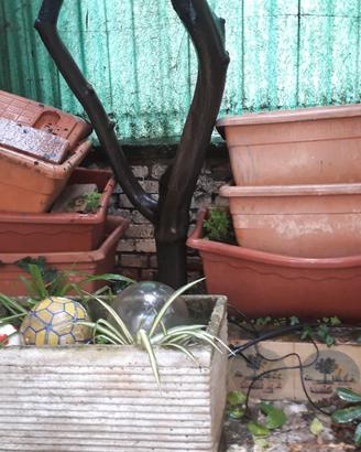 vasi plastica da giardino
