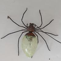 Lampada anni 70 vintage Rossini