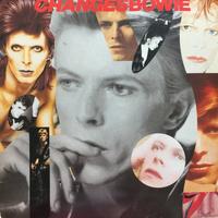 Doppio vinile Davide Bowie