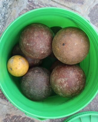 Bocce vintage