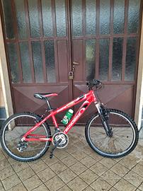 Mountain bike Tecnobike