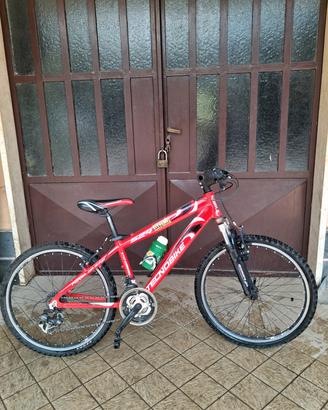 Mountain bike Tecnobike