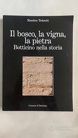 Il bosco,la vigna,la pietrs.Botticino nella storia