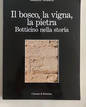 Il bosco,la vigna,la pietrs.Botticino nella storia
