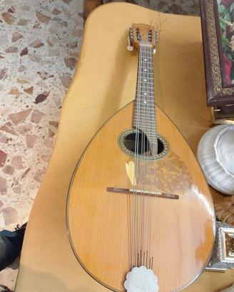 mandola 