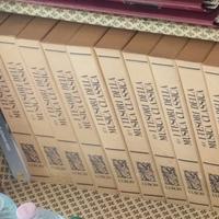 Collezione "TESORI MUSICA CLASSICA", 100 vinili