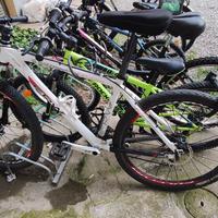 MTB  frw telaio alloy 7005