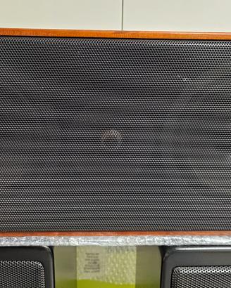 Cassa Centrale Canton Ergo CM52