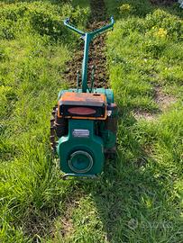 Motocoltivatore goldoni