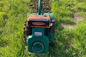 Motocoltivatore goldoni