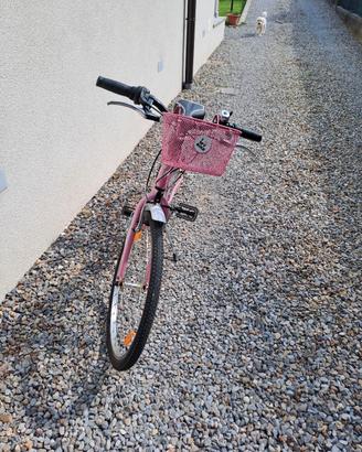 bicicletta da bambina 