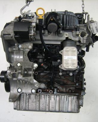 CAY MOTORE VOLKSWAGEN 1.6 TDI