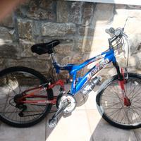 Bicicletta 24 Marzano