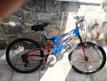 Bicicletta 24 Marzano