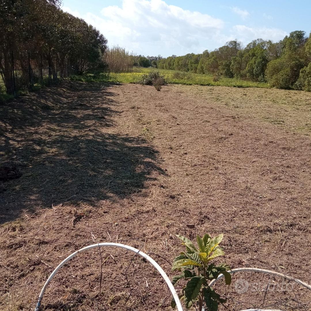 Terreno agricolo san sperate - Vista 2