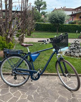 bicicletta pedalata assistita