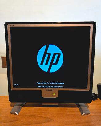Monitor LCD Philips 17 pollici 1280x1024