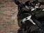 Immagine 11