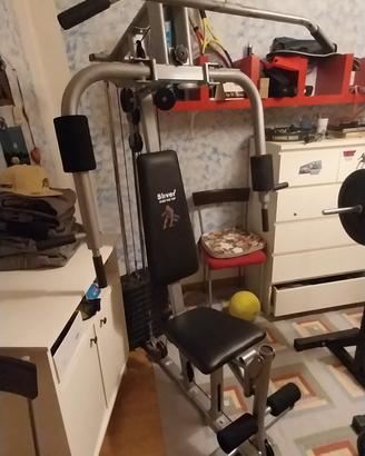 palestra