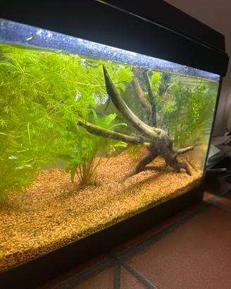 Acquario Aqpet 30 l