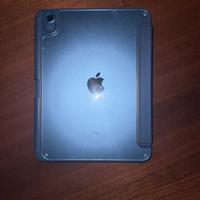 Apple Ipad 10a Generazione 64Gb + Cover Procase
