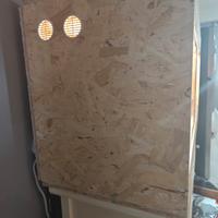 terrario per rettili