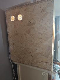 terrario per rettili