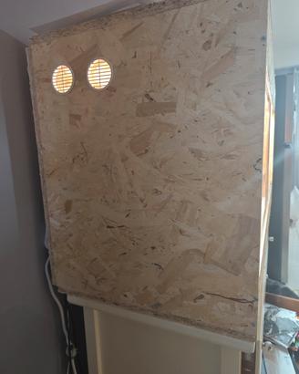 terrario per rettili