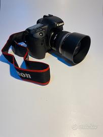 Canon 7D solo 12047 scatti