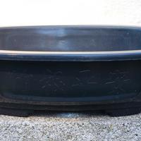 Vaso da coltivazione per bonsai