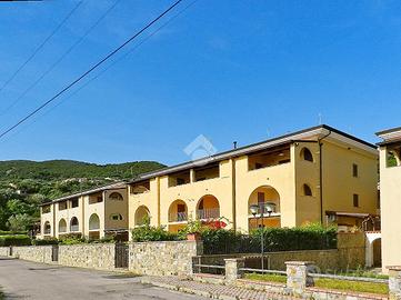 3 LOCALI A PISCIOTTA