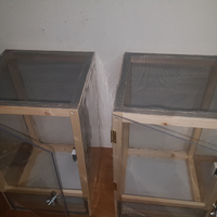 Teca terrario insetti, puccoli rettili