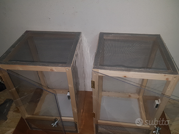 Teca terrario insetti, puccoli rettili