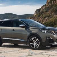 Ricambi musata porte Peugeot 5008