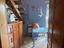 Immagine 12