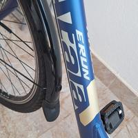 bicicletta elettrica