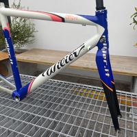 Telaio Wilier Triestina Team Lampre