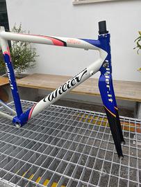 Telaio Wilier Triestina Team Lampre