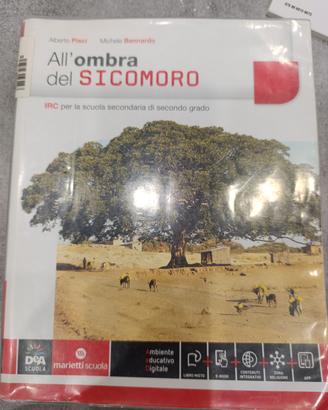 libro All'Ombra del sicomoro