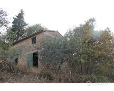 Magazzino agricolo - Vista 5