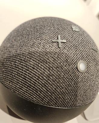 Echo dot 4 gen.