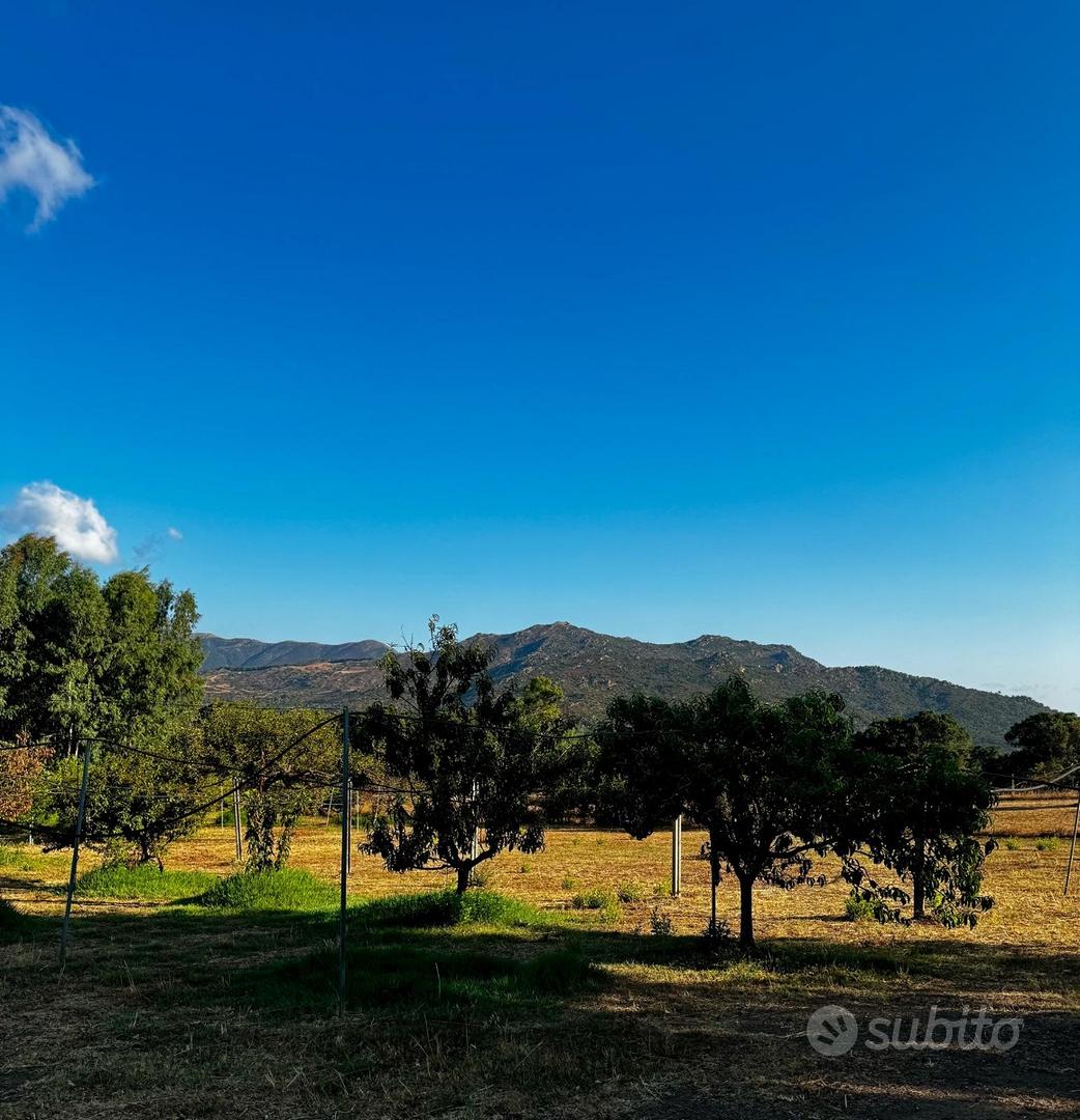 Terreno 6000mq vicino a Gonnosfanadiga - Vista 2