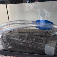 Acquario