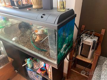 Acquario completo di filtro e mobile