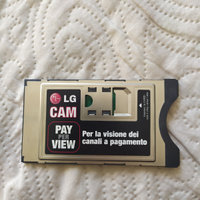 LG Cam