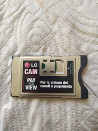 LG Cam