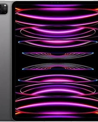 iPad 12.9 pro 256 GB 