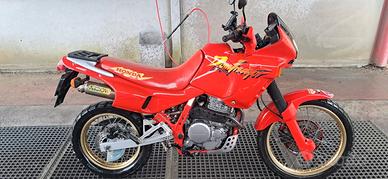 dominator 650