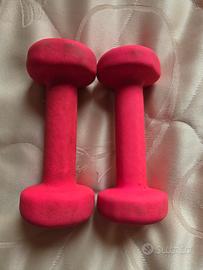 manubri palestra 1kg