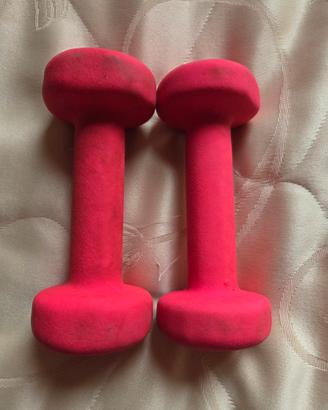 manubri palestra 1kg